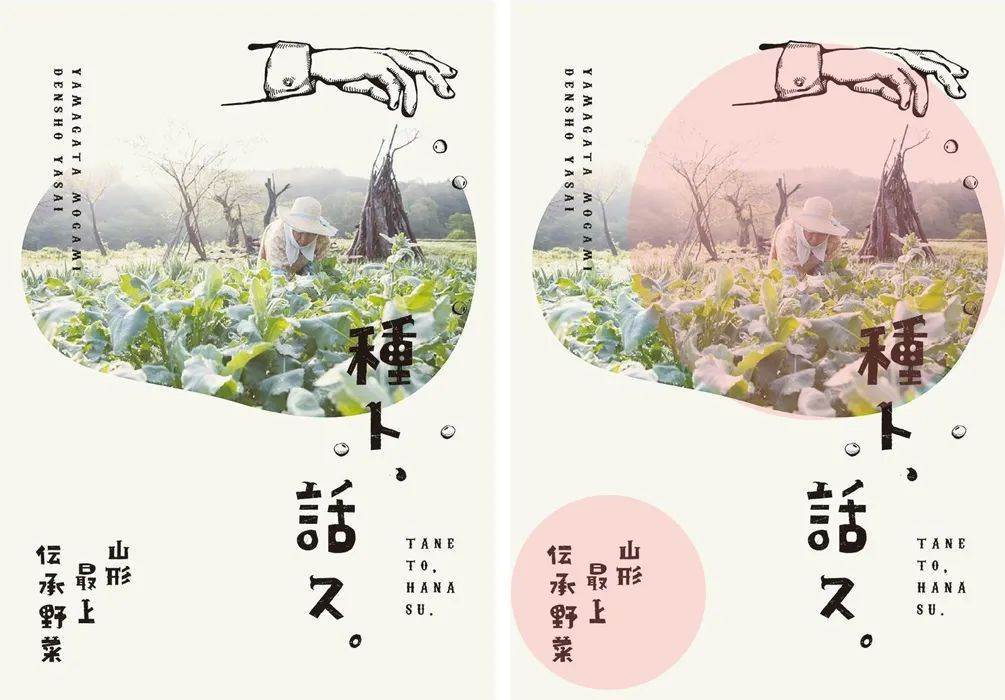 岛国版式牛在哪?有哪些值得我们借鉴?插图10 岛国版式牛在哪?有哪些值得我们借鉴?插图10